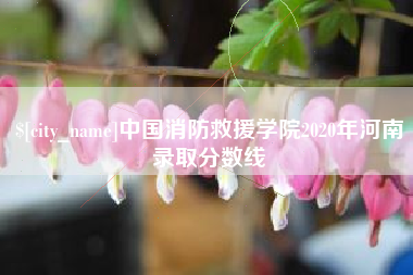 内蒙古中国消防救援学院2020年河南录取分数线