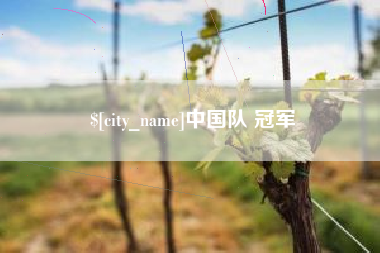 内蒙古中国队 冠军