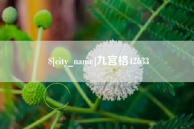 内蒙古九宫格42633