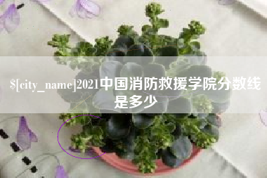 内蒙古2021中国消防救援学院分数线是多少