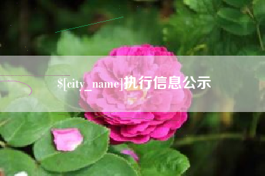 内蒙古执行信息公示