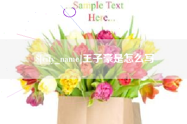 内蒙古王子豪是怎么写