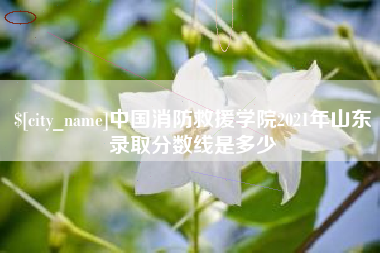 内蒙古中国消防救援学院2021年山东录取分数线是多少