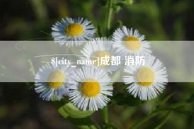 内蒙古成都 消防