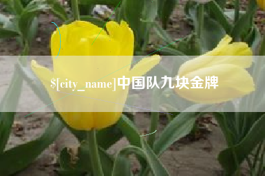 内蒙古中国队九块金牌