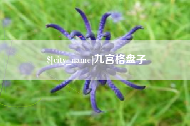 内蒙古九宫格盘子