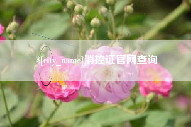 内蒙古消控证官网查询