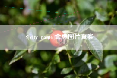 内蒙古金牌图片真实