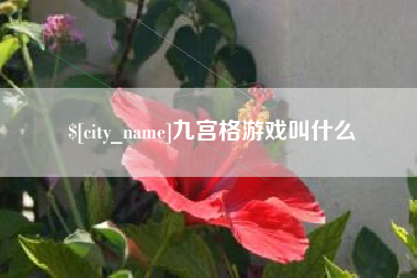 内蒙古九宫格游戏叫什么