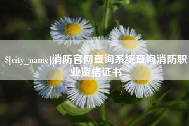 内蒙古消防官网查询系统查询消防职业资格证书