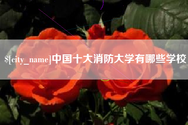 内蒙古中国十大消防大学有哪些学校