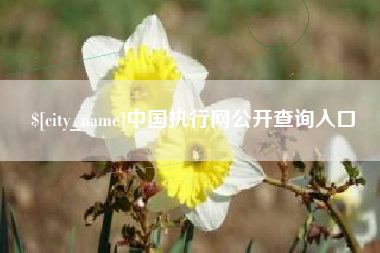 内蒙古中国执行网公开查询入口