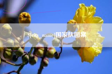 内蒙古国家队图案