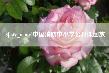 内蒙古中国消防中小学公开课回放
