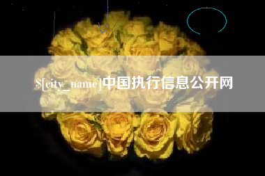 内蒙古中国执行信息公开网