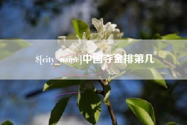 内蒙古中国夺金排第几