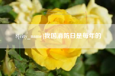 内蒙古我国消防日是每年的