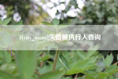 内蒙古失信被执行人杳询