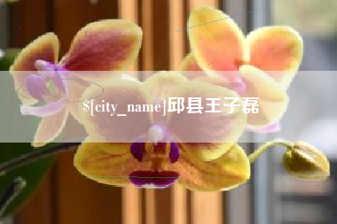 内蒙古邱县王子磊