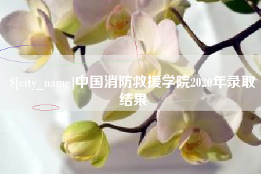 内蒙古中国消防救援学院2020年录取结果
