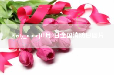 内蒙古11月9日全国消防日图片