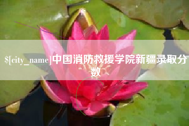 内蒙古中国消防救援学院新疆录取分数