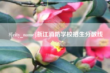 内蒙古浙江消防学校招生分数线