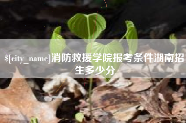 内蒙古消防救援学院报考条件湖南招生多少分