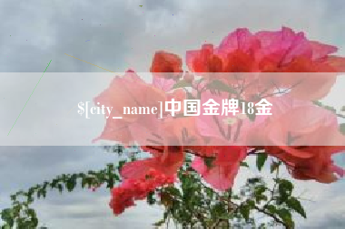 内蒙古中国金牌18金