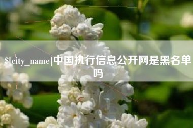 内蒙古中国执行信息公开网是黑名单吗