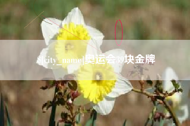 内蒙古奥运会39块金牌