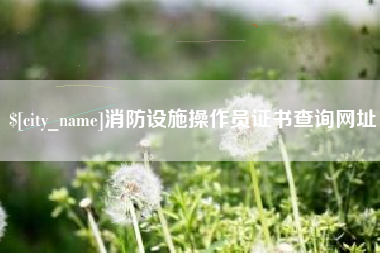 内蒙古消防设施操作员证书查询网址