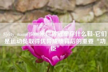 内蒙古5000米世界冠军穿什么鞋-它们是运动员取得优异成绩背后的重要“功臣”