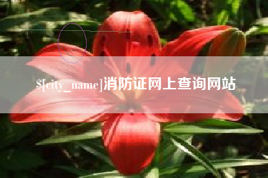 内蒙古消防证网上查询网站