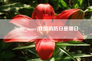 内蒙古我国消防日是哪日