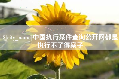 内蒙古中国执行案件查询公开网都是执行不了得案子