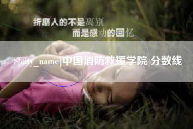 内蒙古中国消防救援学院 分数线