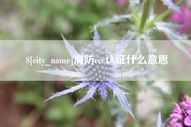 内蒙古消防ccc认证什么意思