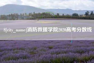 内蒙古消防救援学院2020高考分数线