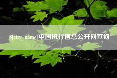 内蒙古中国执行信息公开网查询