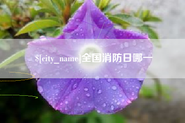 内蒙古全国消防日哪一