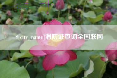 内蒙古消防证查询全国联网