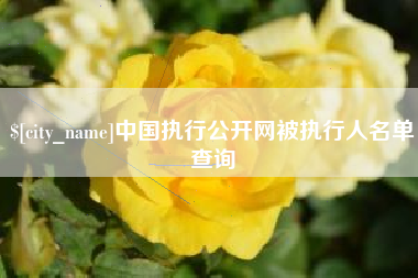 内蒙古中国执行公开网被执行人名单查询