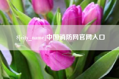 内蒙古中国消防网官网入口