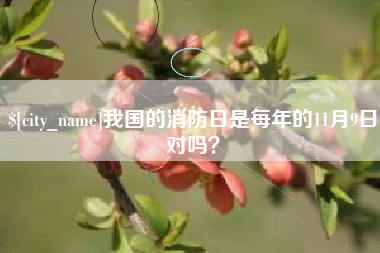 内蒙古我国的消防日是每年的11月9日对吗？