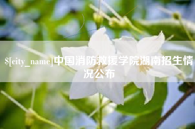 内蒙古中国消防救援学院湖南招生情况公布