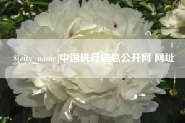 内蒙古中国执行信息公开网 网址
