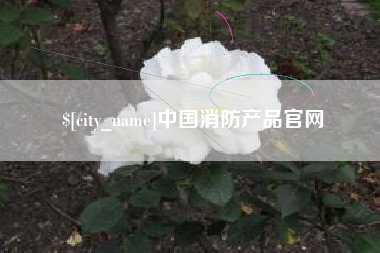 内蒙古中国消防产品官网