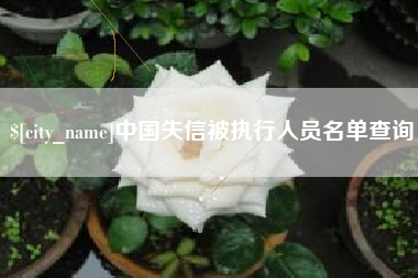 内蒙古中国失信被执行人员名单查询