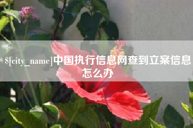内蒙古中国执行信息网查到立案信息怎么办